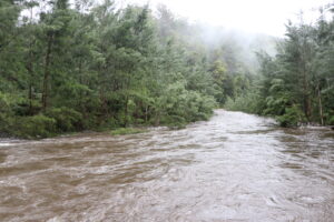 Wide flooded river